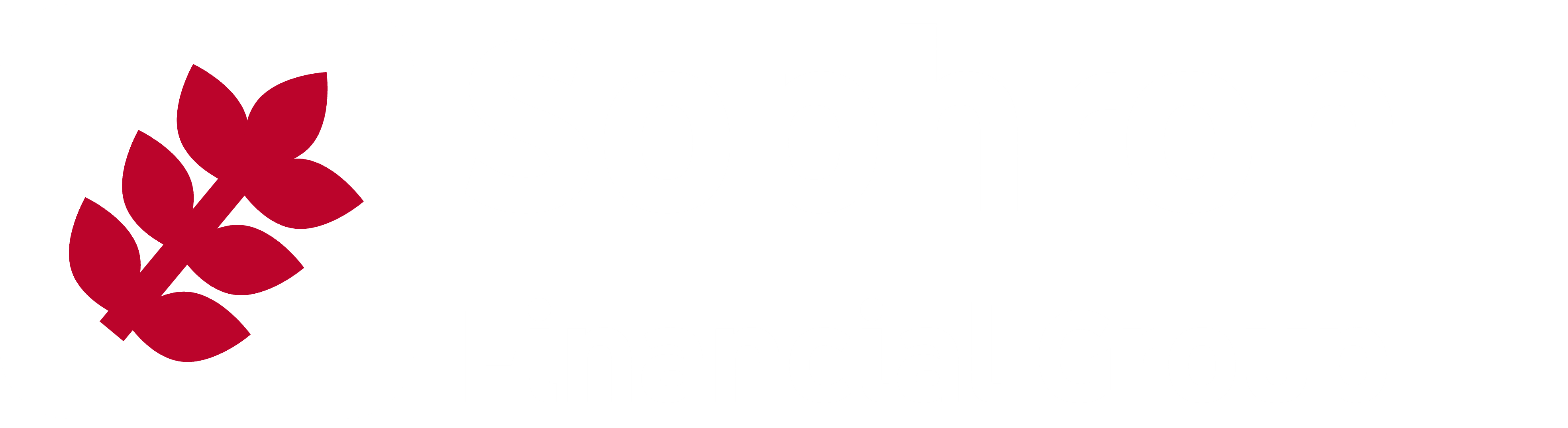 Sophronfinalcial.ca